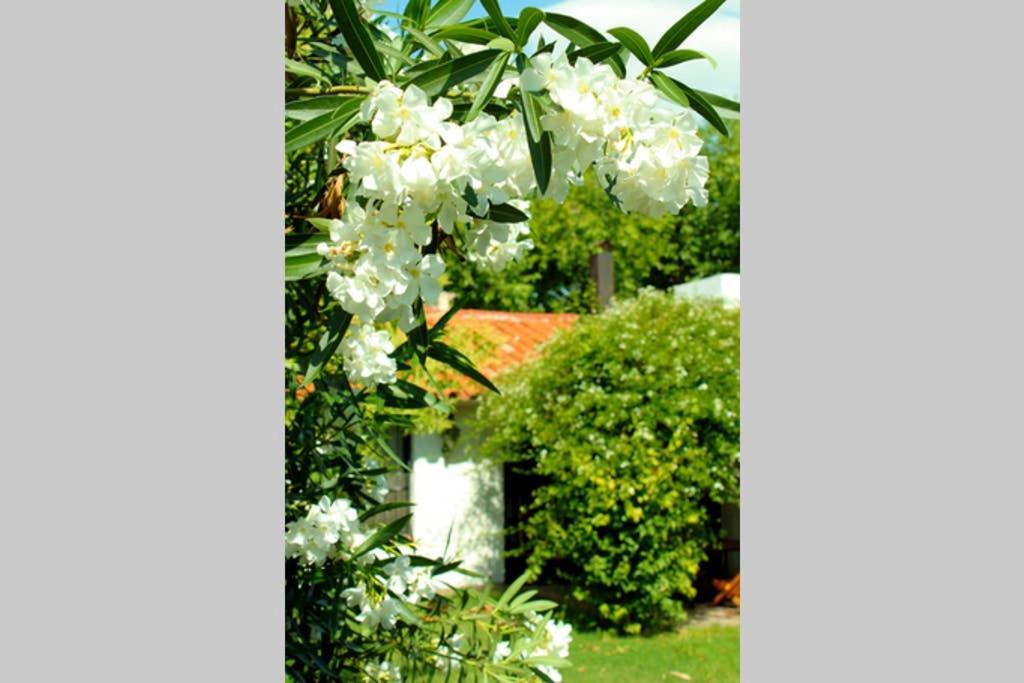Villa Big Beautiful House With Garden In 5Ta Seccion Neighbourhood à Mendoza Extérieur photo