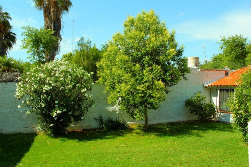Villa Big Beautiful House With Garden In 5Ta Seccion Neighbourhood à Mendoza Extérieur photo